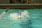 Swimming vs Bentley  Wheaton College Swimming & Diving vs Bentley College. - Photo by Keith Nordstrom : Wheaton, Swimming & Diving